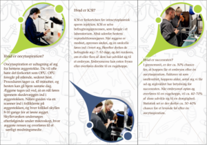 Flyer Design by Sevil Axmedova for Vet InVitro | Design: #23407656