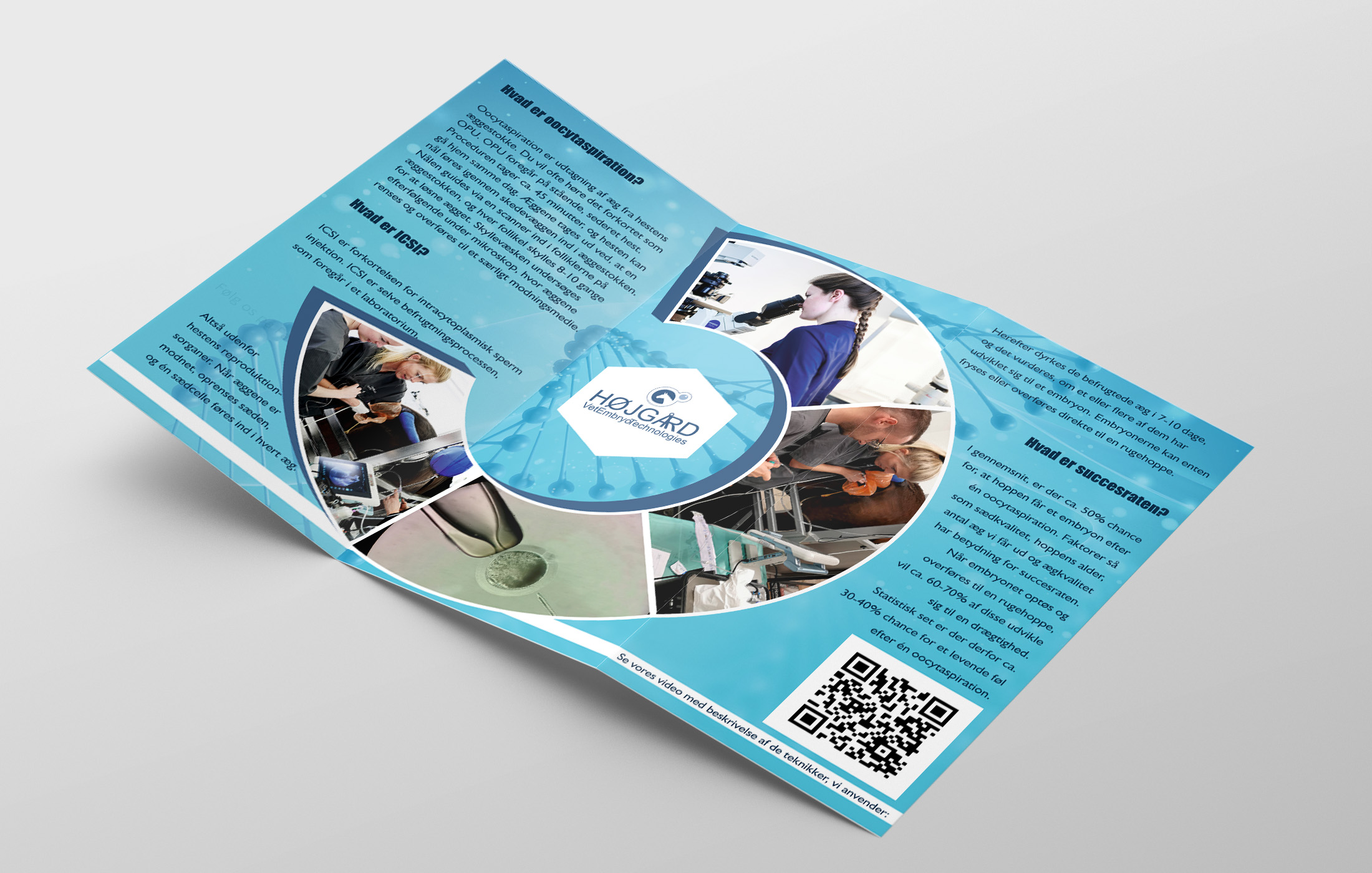 Flyer Design by Sevil Axmedova for Vet InVitro | Design #23422301