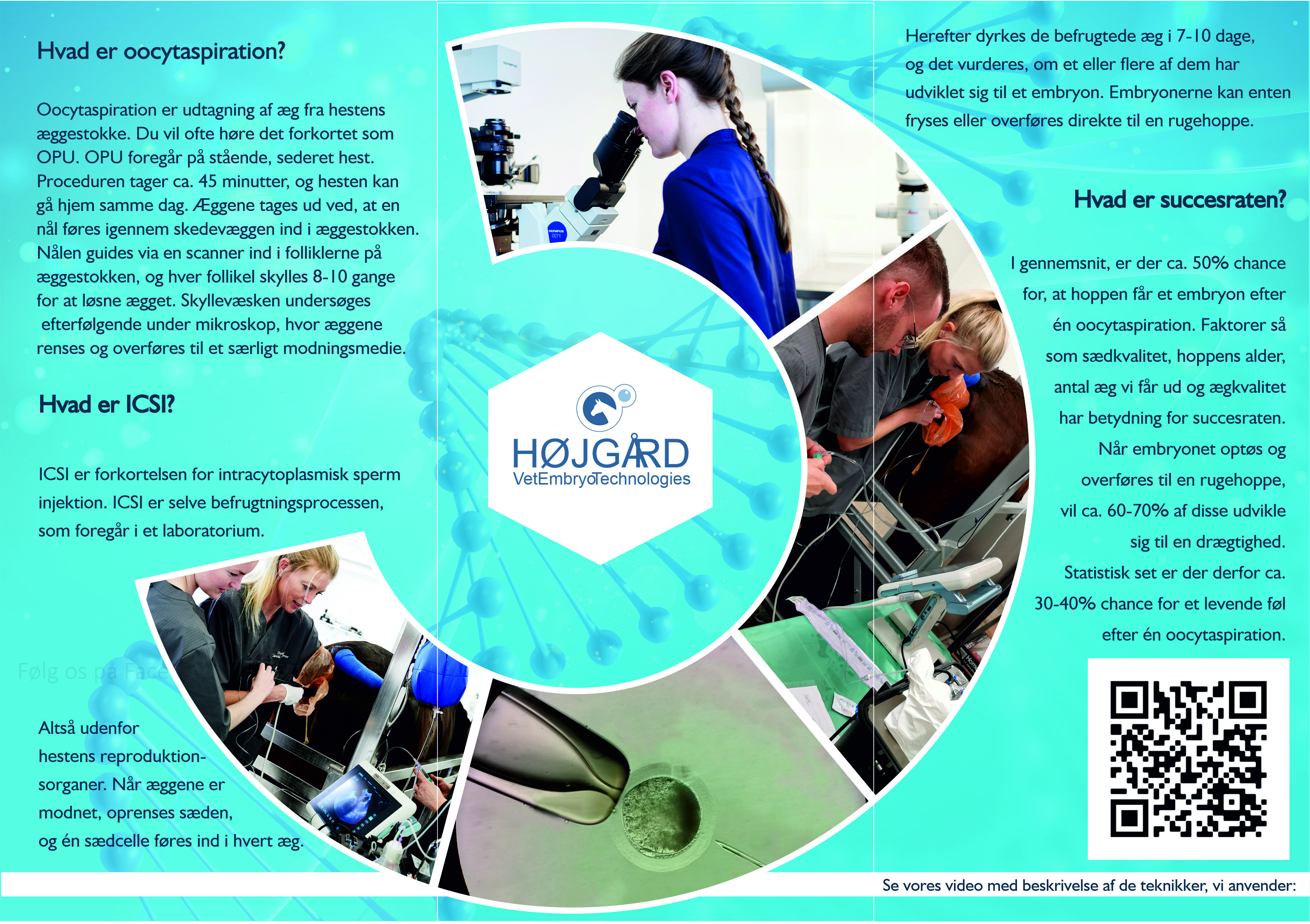 Flyer Design by Sevil Axmedova for Vet InVitro | Design #23423249