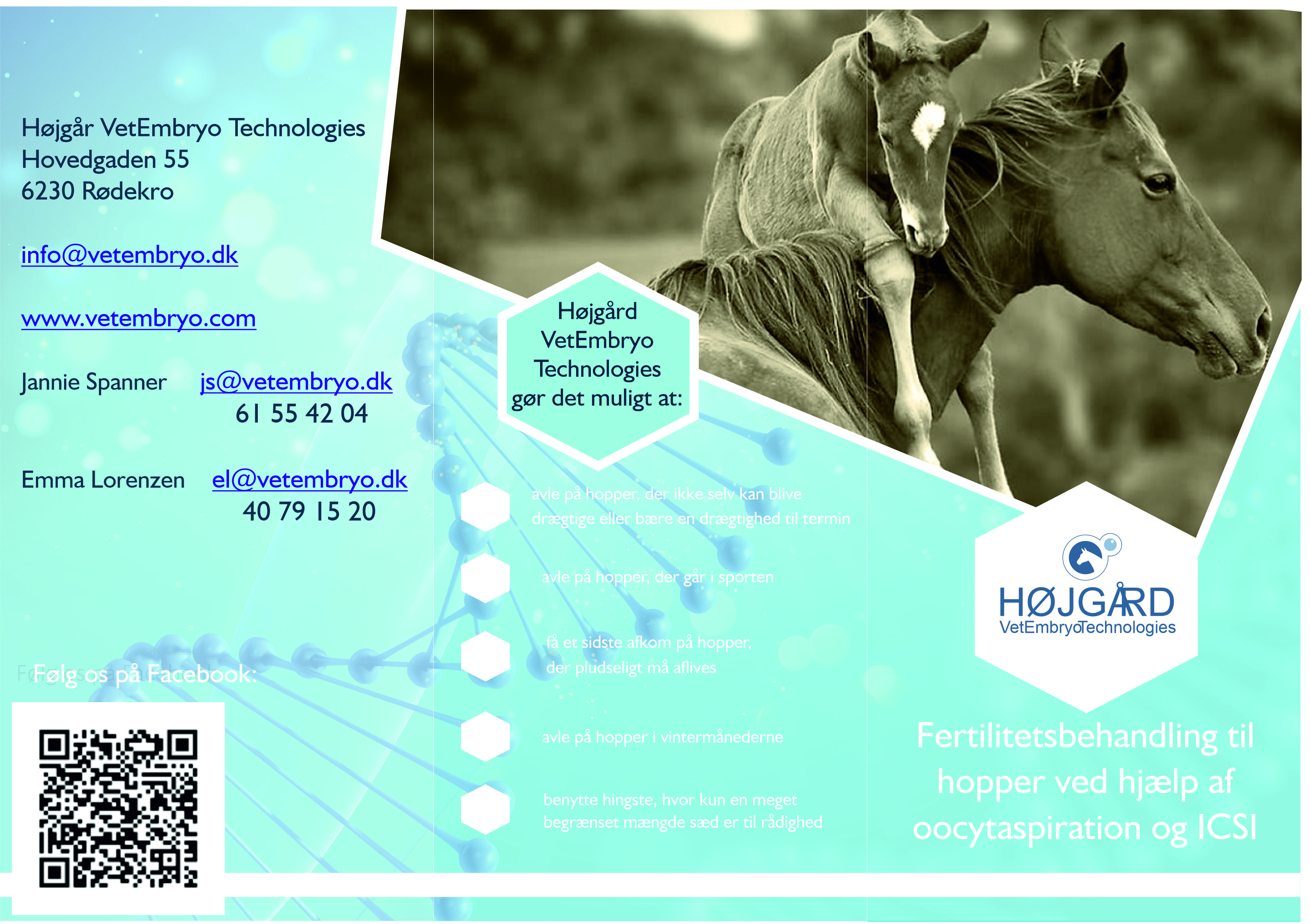 Flyer Design by Sevil Axmedova for Vet InVitro | Design #23448204