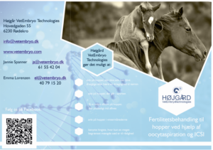 Design de Flyer par Sevil Axmedova pour Vet InVitro | Design : #23448204