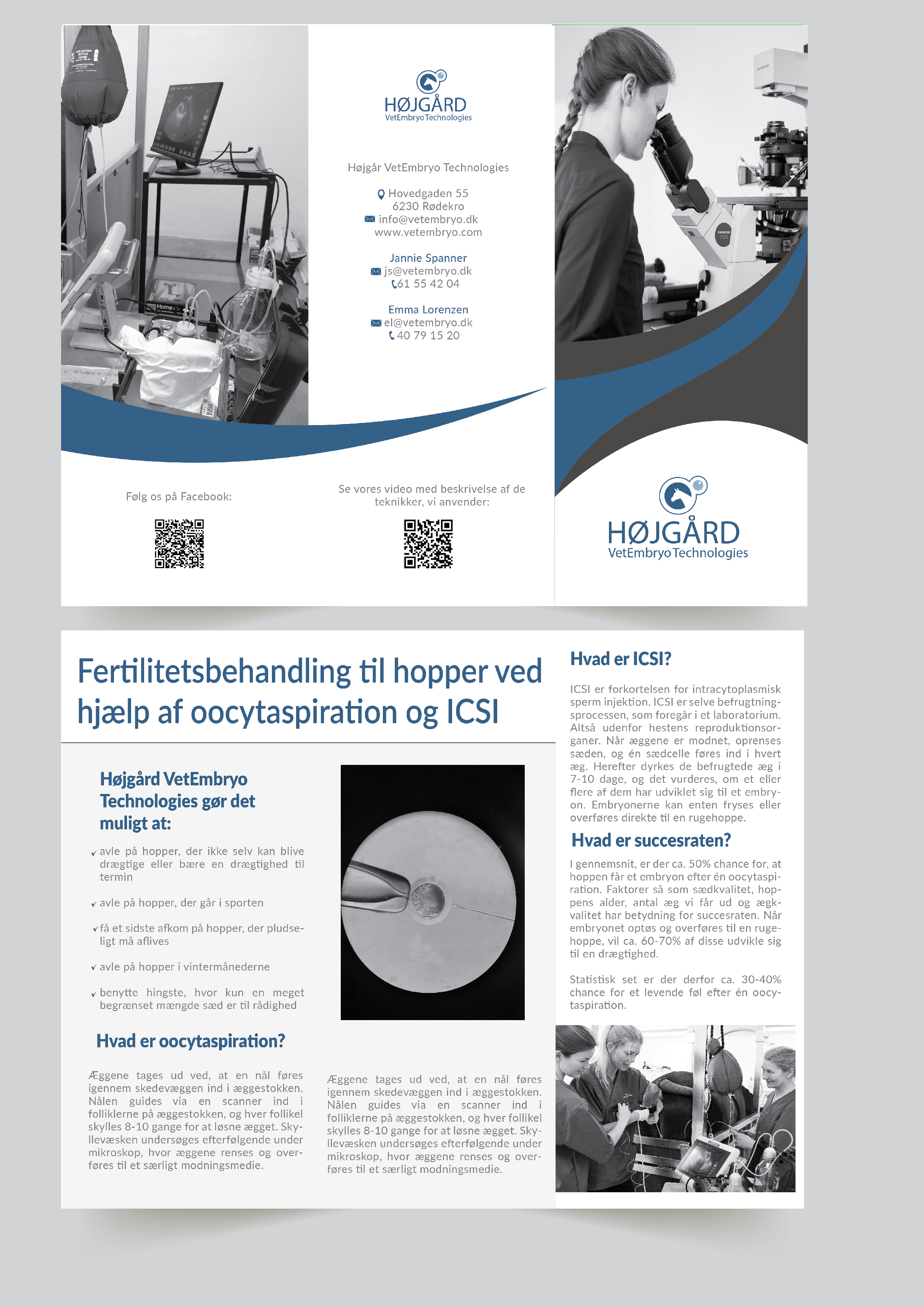 Flyer Design by Mishuy for Vet InVitro | Design #23437611