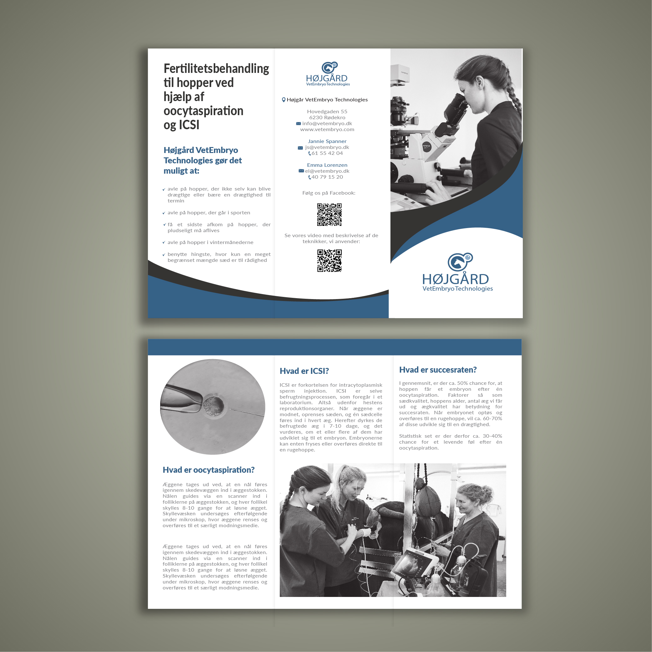 Flyer Design by Mishuy for Vet InVitro | Design #23437788