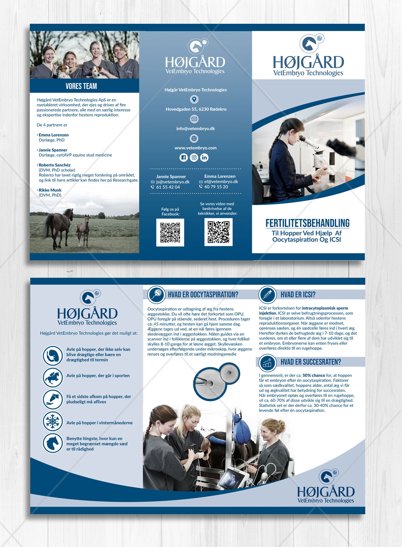 Flyer Design by DA. for Vet InVitro | Design #23420899