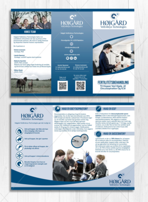 Flyer Design by DA. for Vet InVitro | Design: #23420899