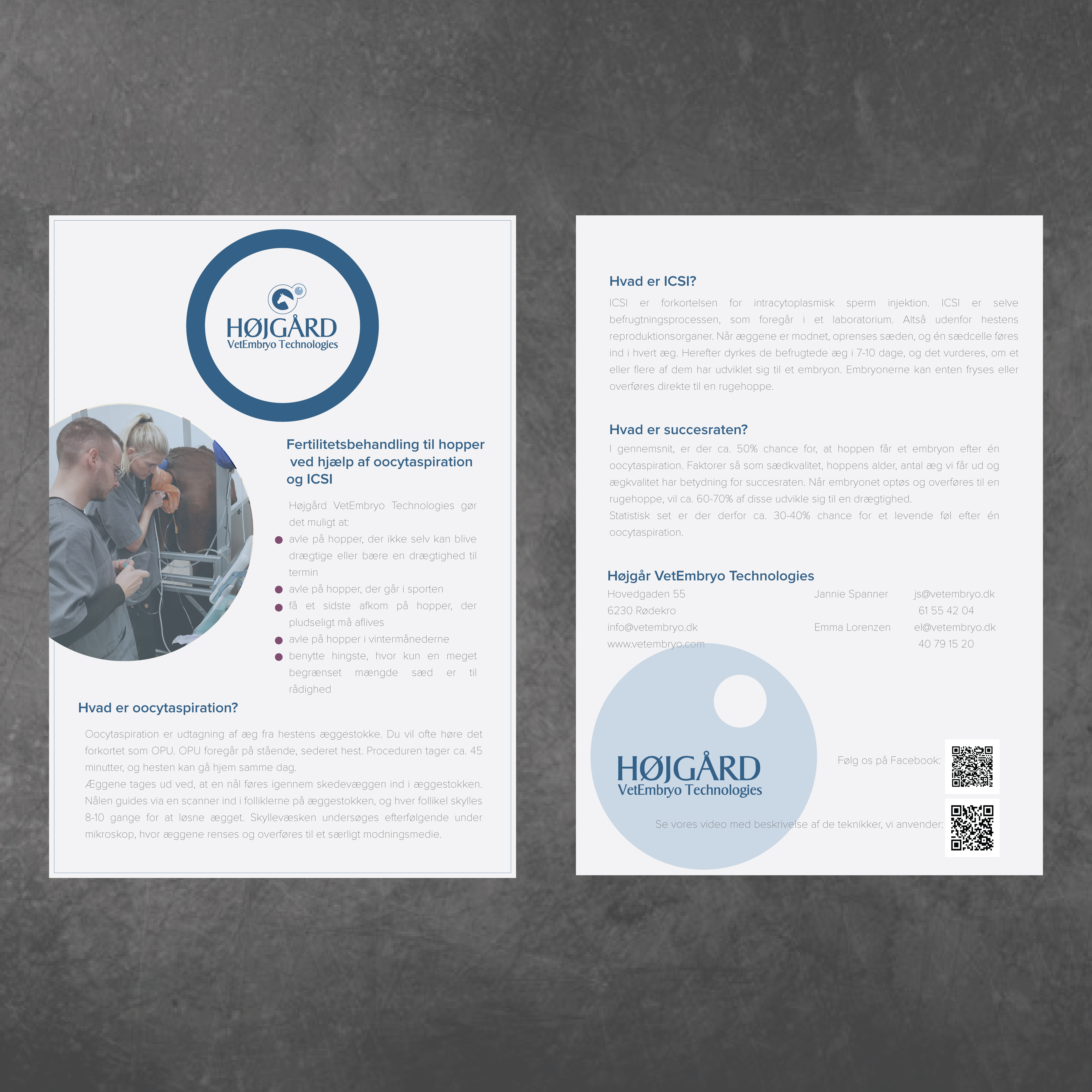 Flyer Design by ishitasenguptaaa for Vet InVitro | Design #23436301