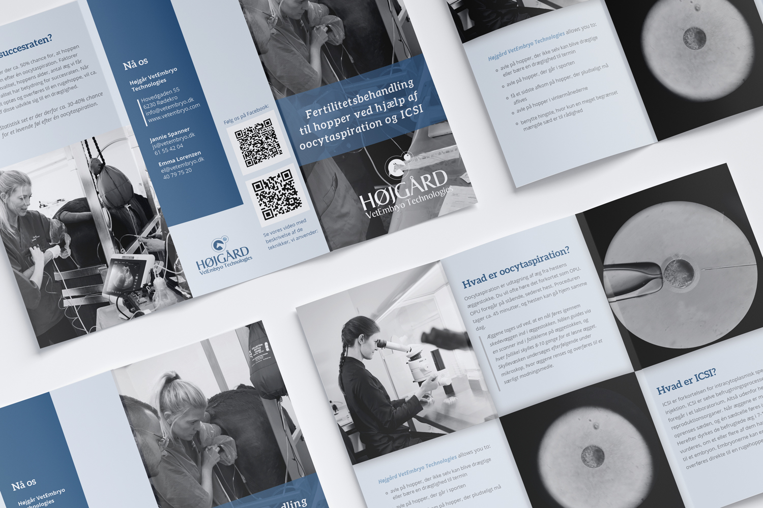 Design de Flyer par brianmwashuke pour Vet InVitro | Design #23441498