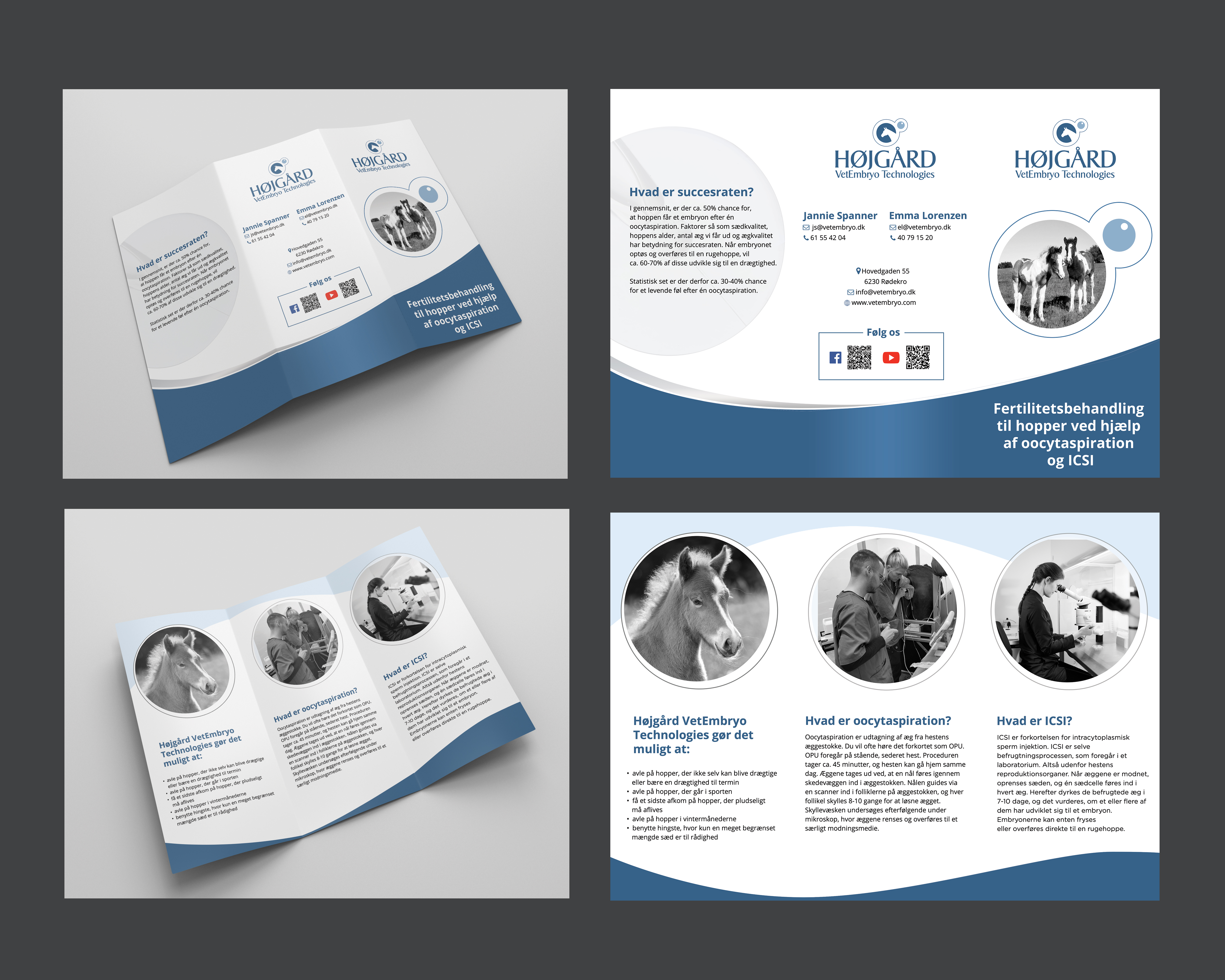 Flyer Design by Yoswell for Vet InVitro | Design #23437852