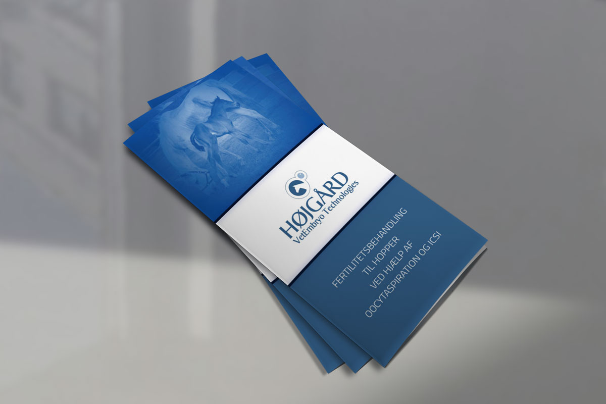 Flyer Design by J Andras for Vet InVitro | Design #23433063