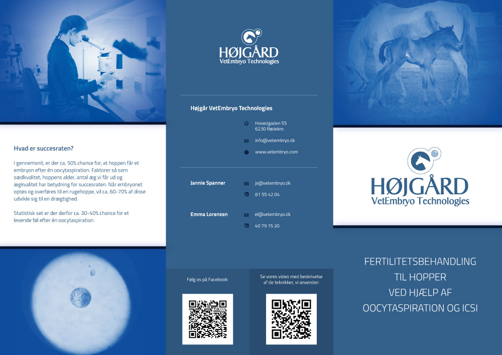 Diseño de Flyer por J Andras para Vet InVitro | Diseño #23433065