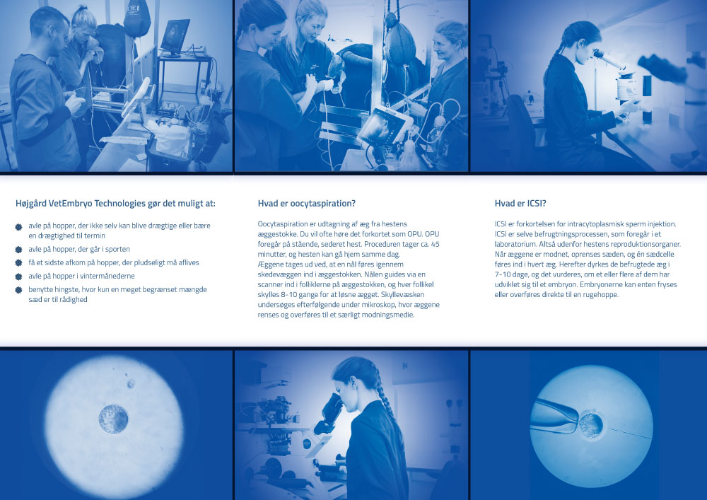 Flyer Design by J Andras for Vet InVitro | Design #23433066