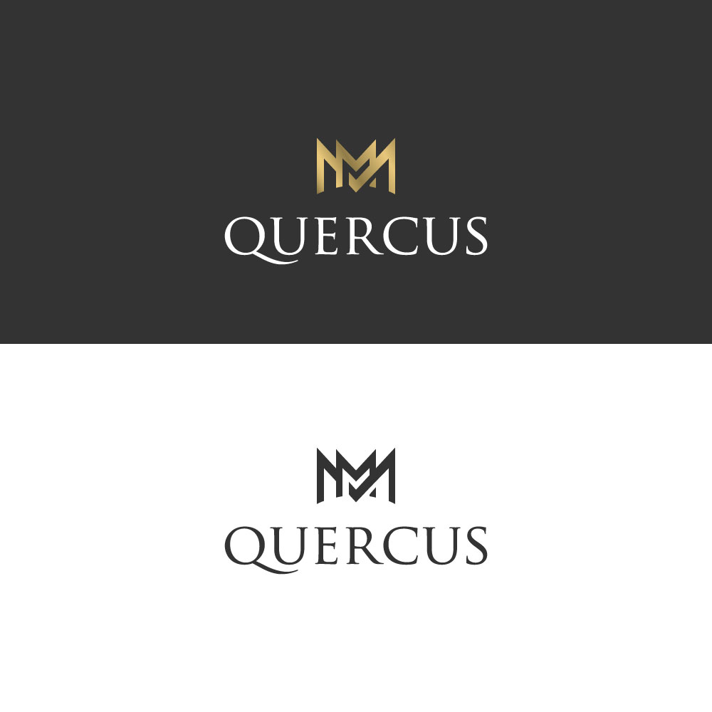 Logo Design by Iryna 3 for this project | Design #23451188