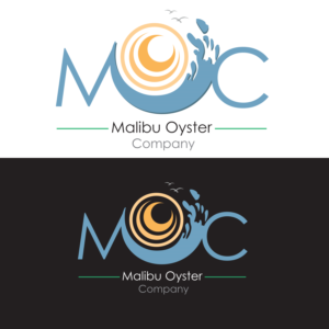 Logo Design by Habib Shah