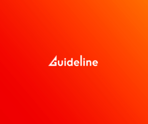 Guideline | Logo Design by lionx