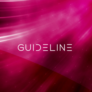 Diseño de Logo por NZ Creatives para Guideline ERP | Diseño: #23422288