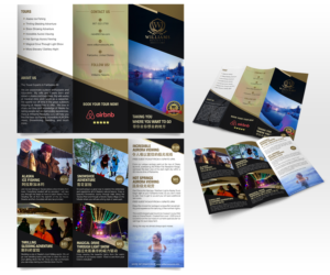Alaska Outdoor Adventure Tour Company Flyer | Flyer-Design von Luniere Designs