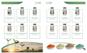Catalogue Design by Impressive Solutions for UPON INC | Design: #23555457