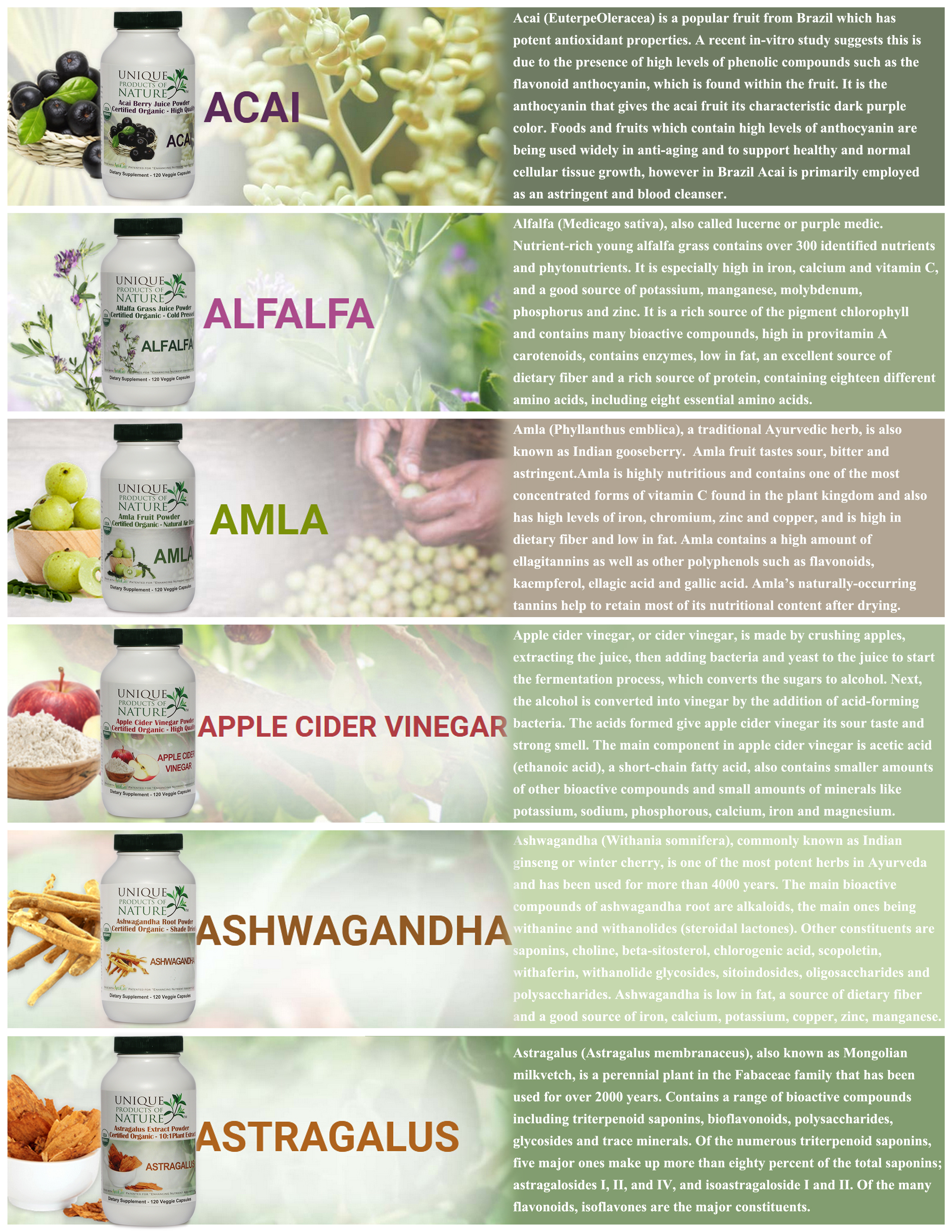 Design de Catalogue par Regina Su pour UPON INC | Design #23421498