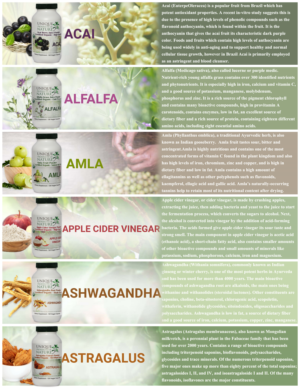 Design de Catalogue par Regina Su pour UPON INC | Design : #23421498