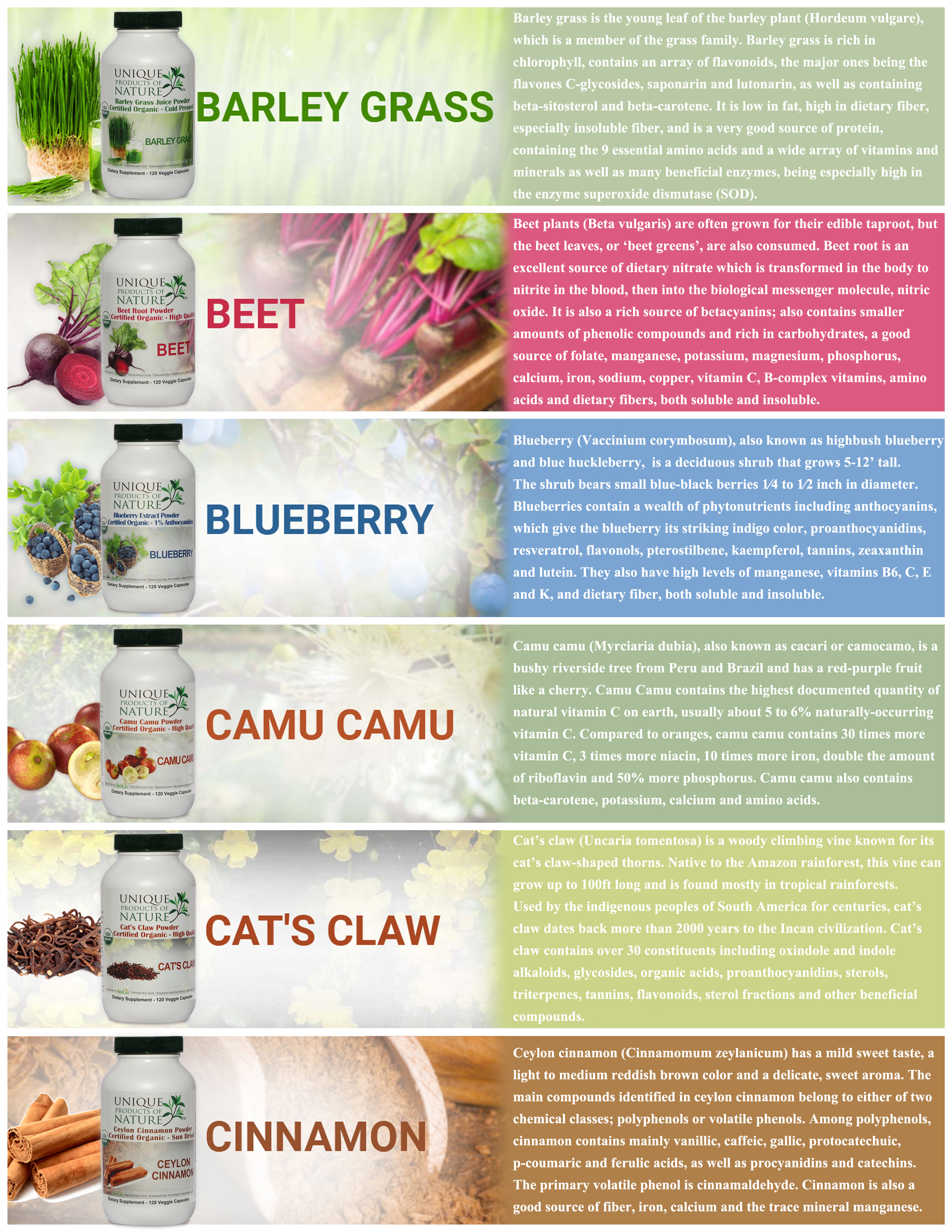 Catalogue Design by Regina Su for UPON INC | Design #23421501