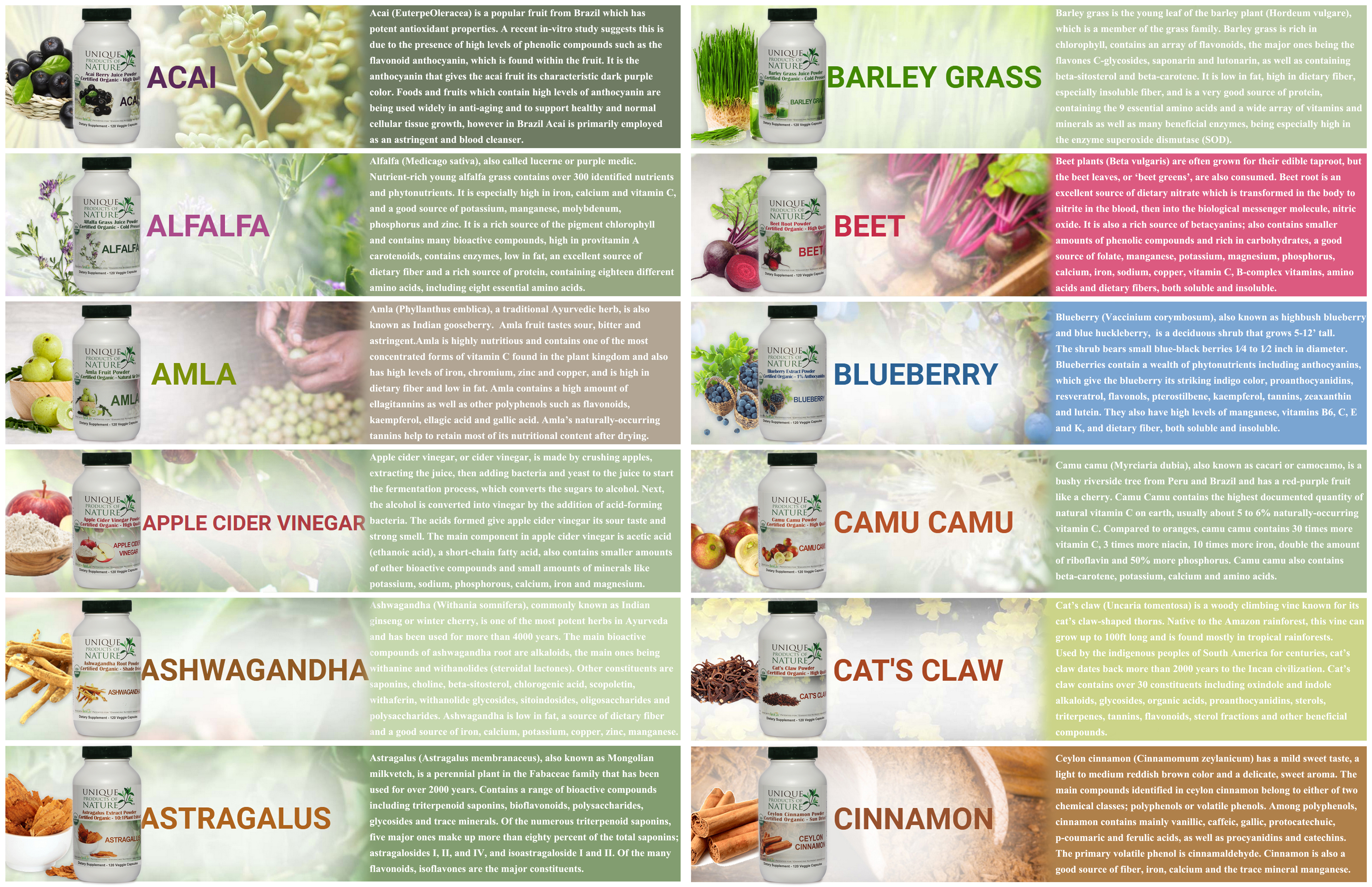 Design de Catalogue par Regina Su pour UPON INC | Design #23470692