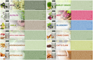 Design de Catalogue par Regina Su pour UPON INC | Design : #23470692