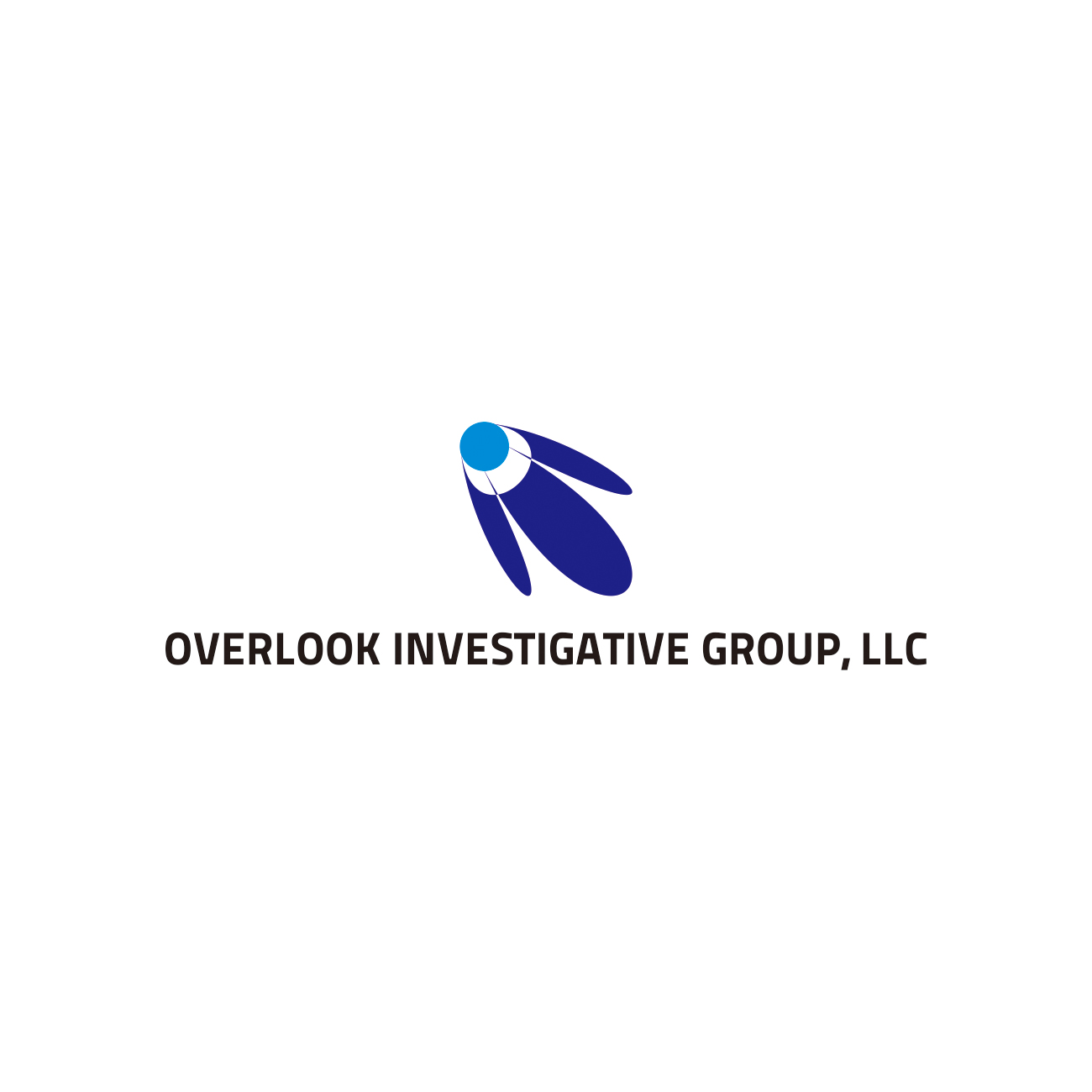 Logo Design by Ariyanti for Overlook Investigative Group LLC | Design #23419708