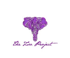 Logo Design by MBDesigns for this project | Design: #2990841