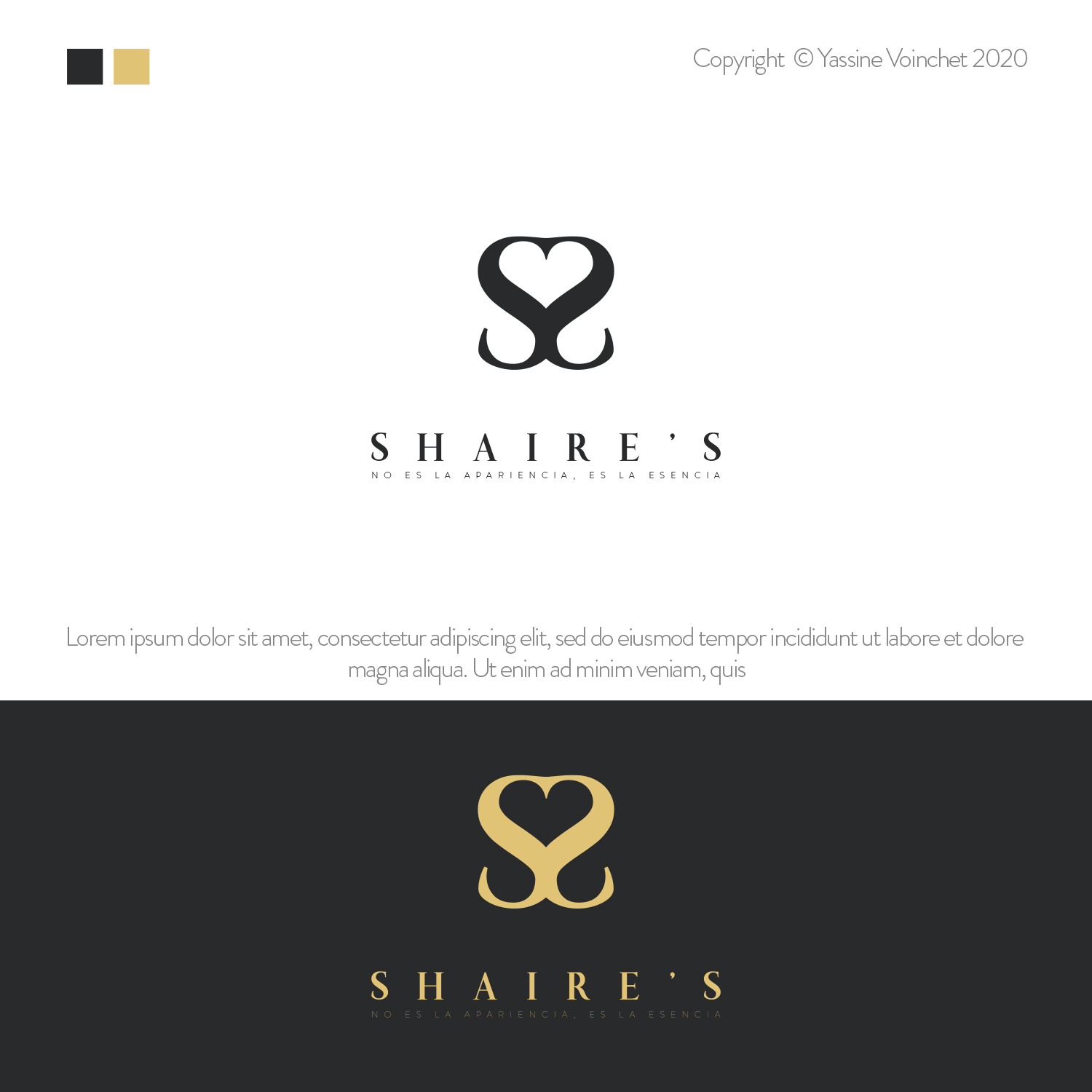 Logo Design by Yassine Voinchet for this project | Design #23417794