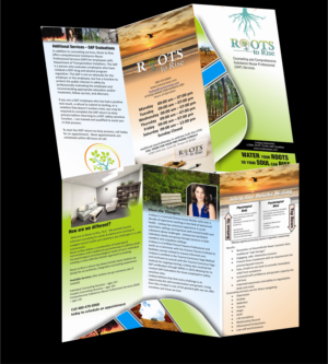Brochure Design by tsmaponga34