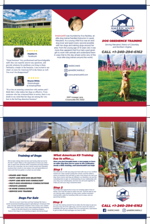 Brochure Design by saurov