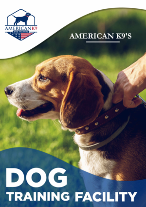 Diseño de Brochure por Cynor Designs para este proyecto | Diseño: #23435387