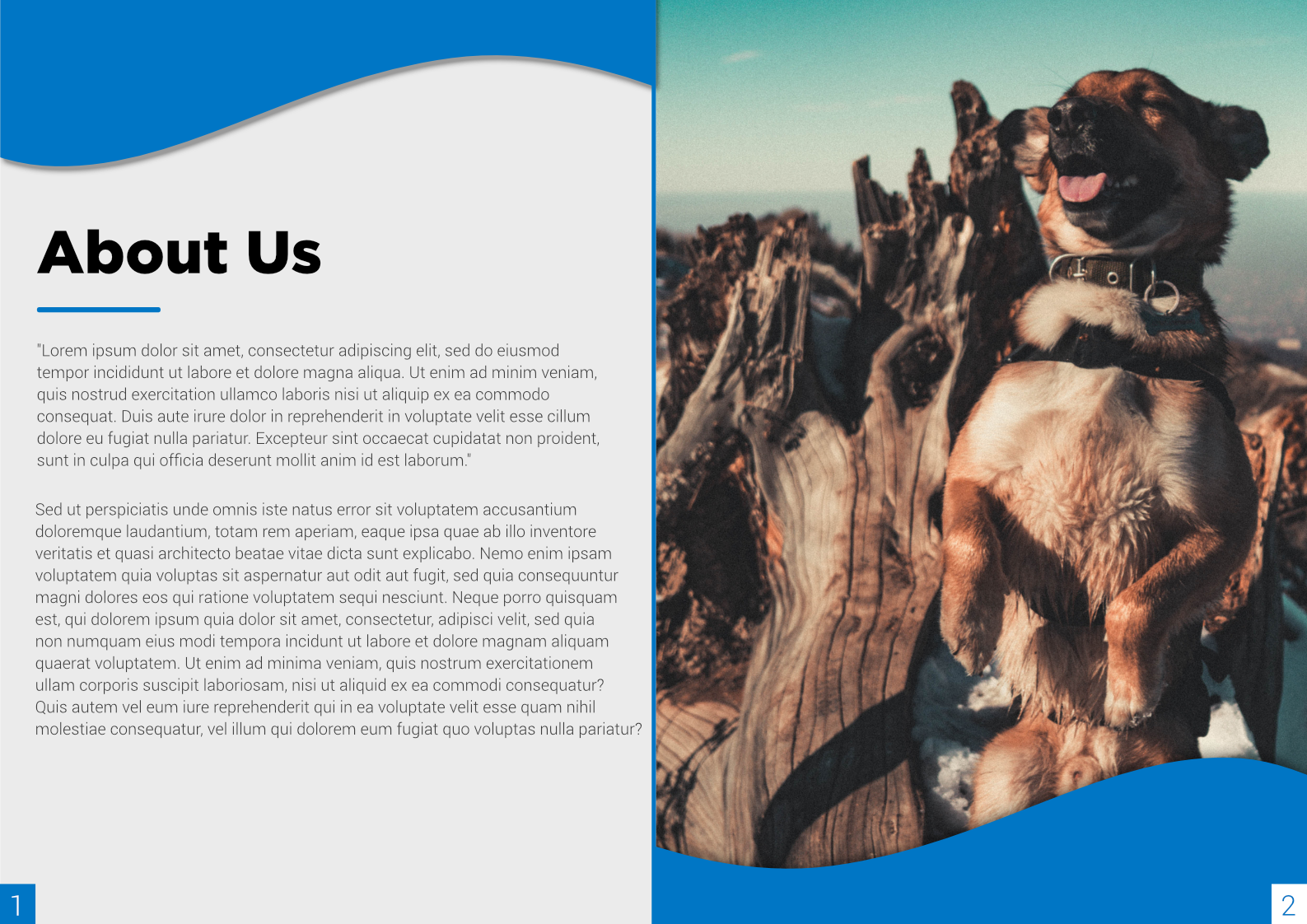 Brochure Design by Cynor Designs for this project | Design #23435388