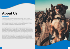 Diseño de Brochure por Cynor Designs para este proyecto | Diseño: #23435388