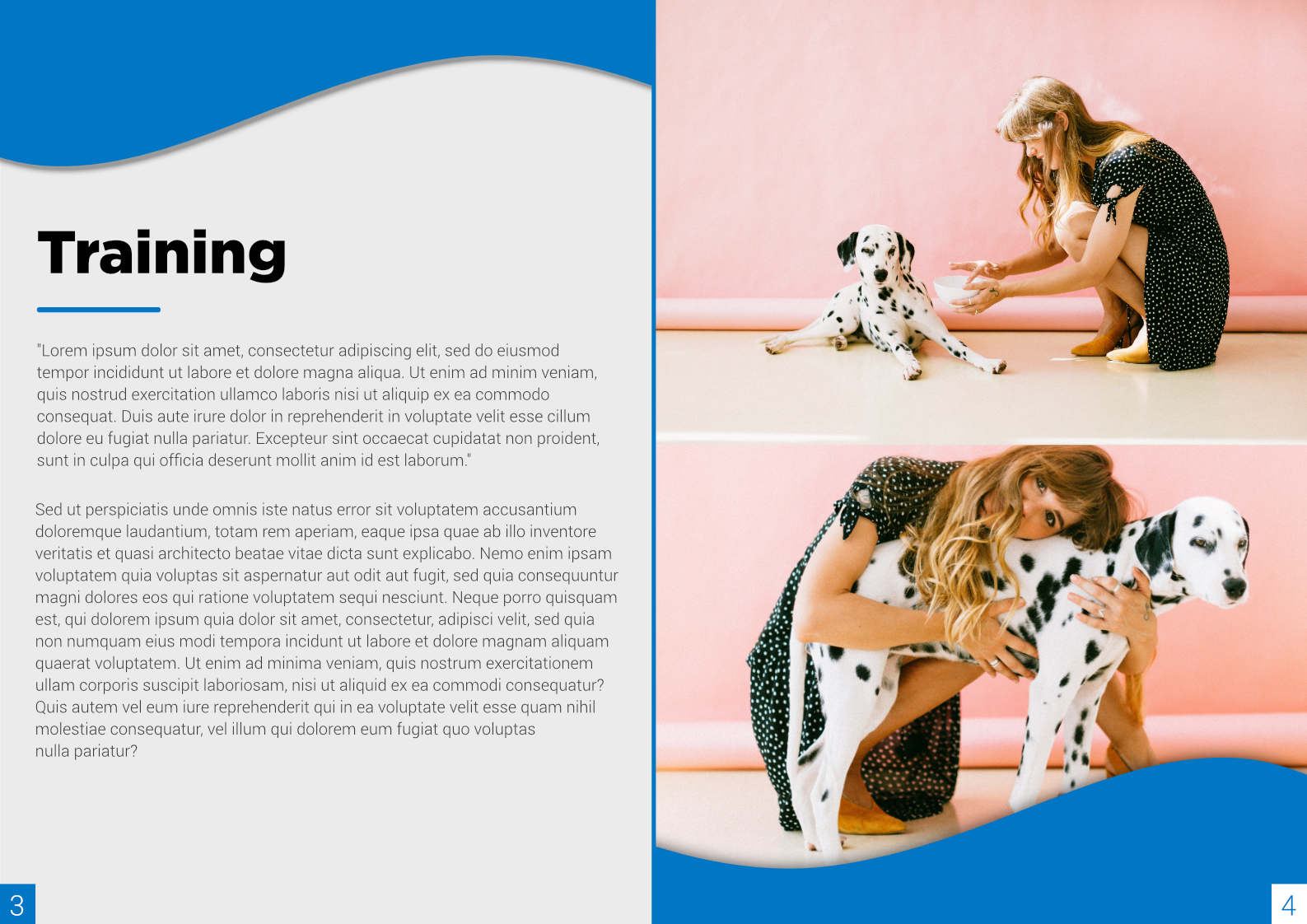 Brochure Design by Cynor Designs for this project | Design #23435389