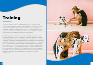 Diseño de Brochure por Cynor Designs para este proyecto | Diseño: #23435389