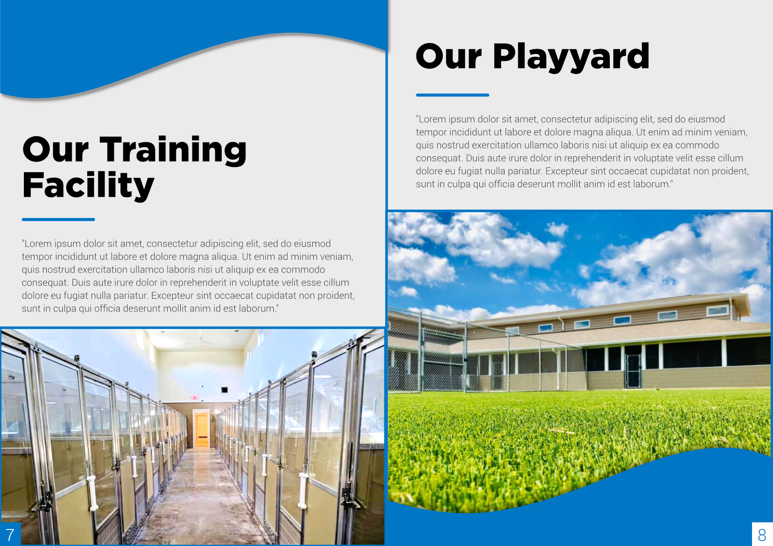 Brochure Design by Cynor Designs for this project | Design #23435390