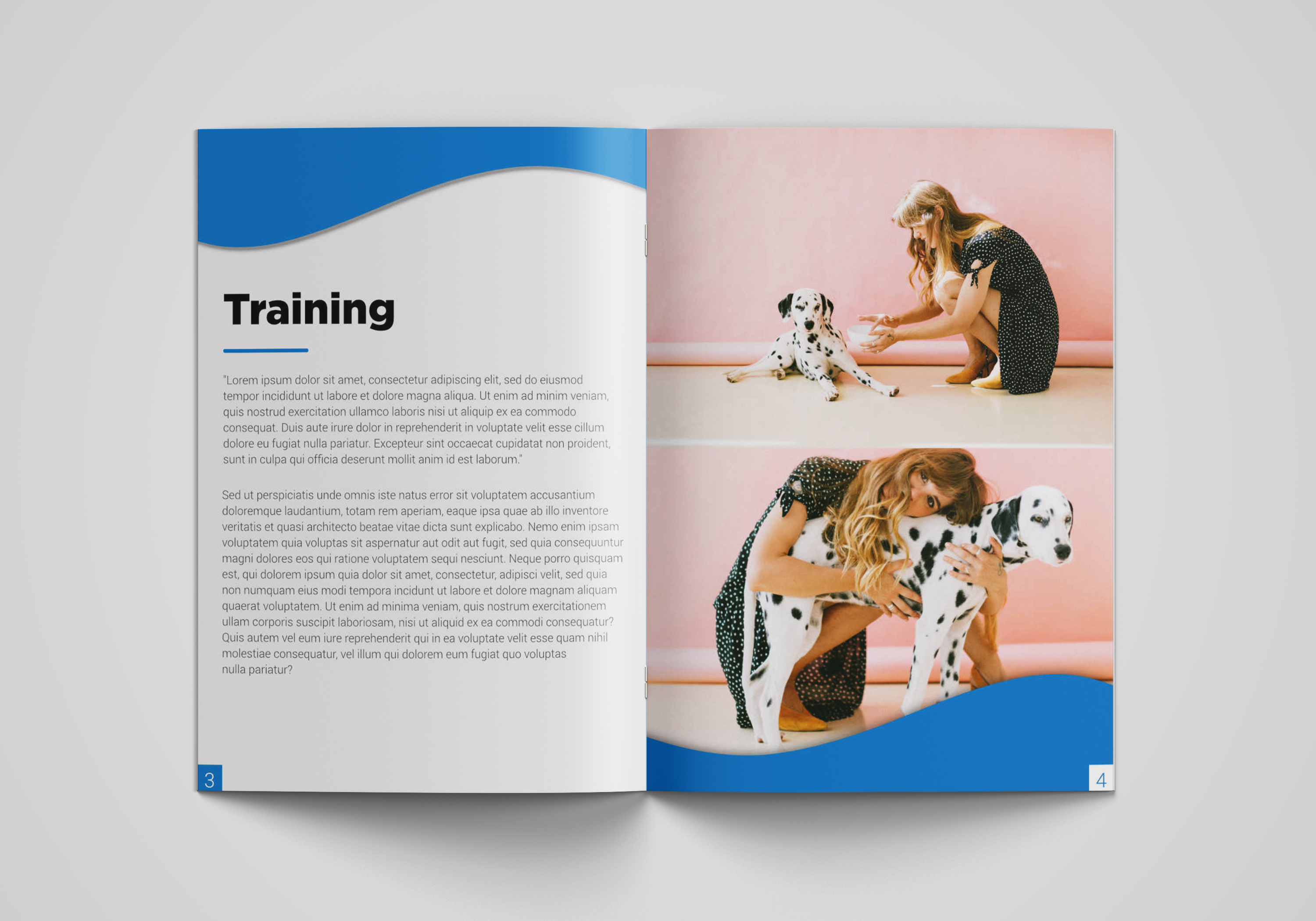 Brochure Design by Cynor Designs for this project | Design #23435406