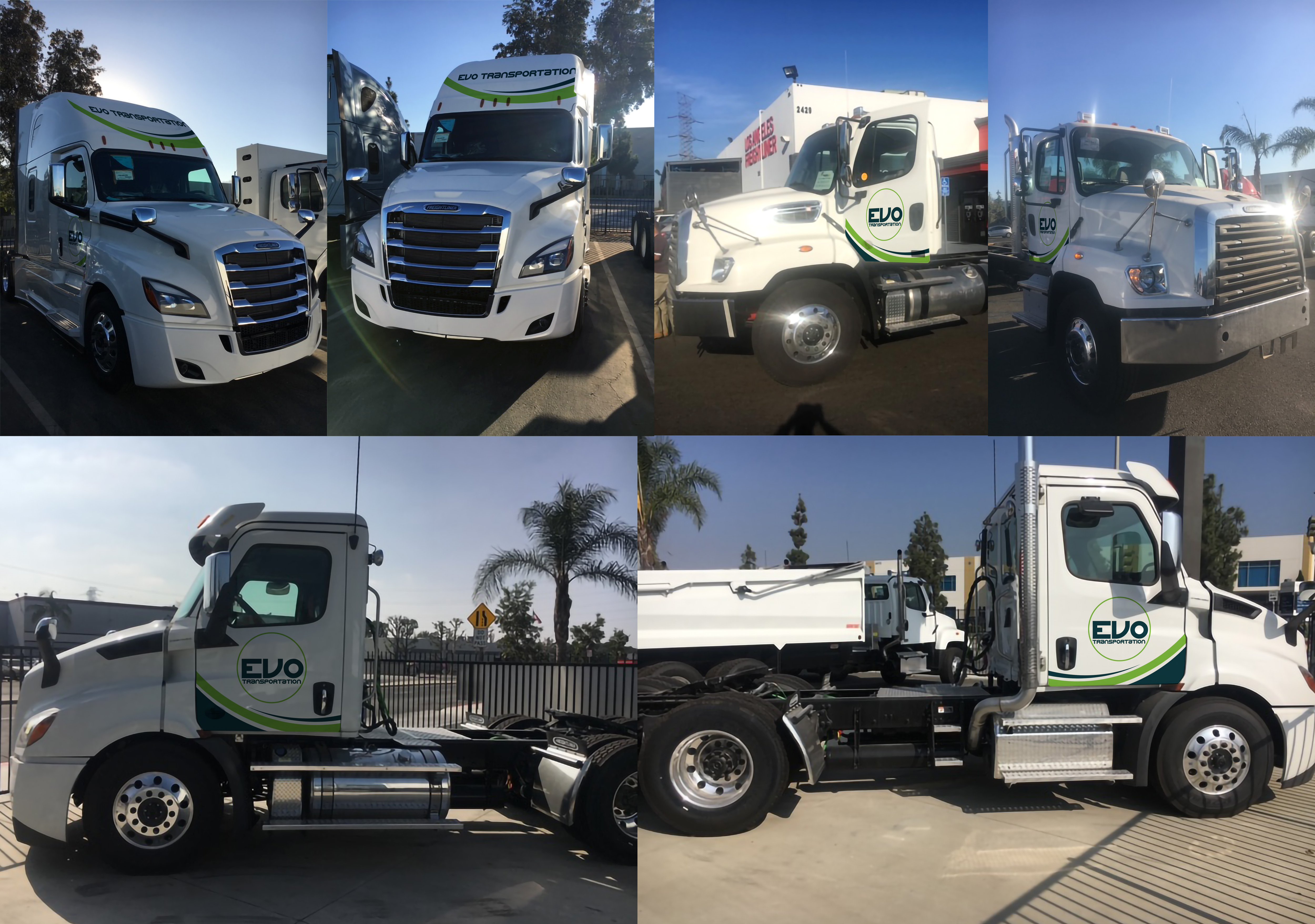 Graphic Design by Impressive Sol for EVO Transportation | Design #23517500