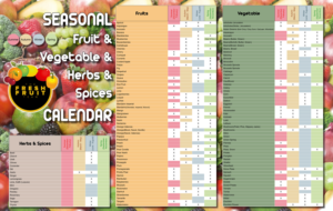 Diseño Gráfico por Sheingart para este proyecto | Diseño: #23434303