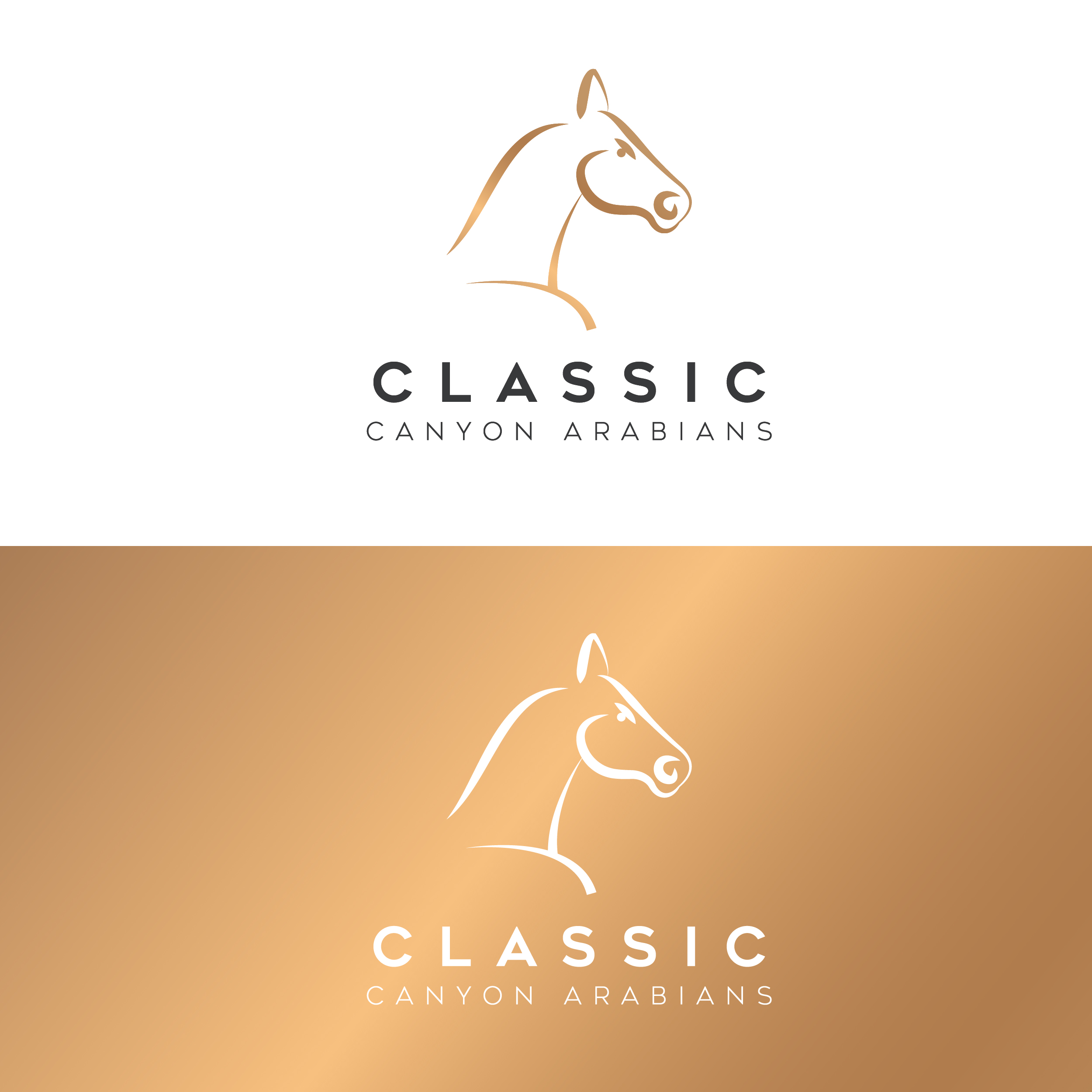 Design de Logo par Spekkon pour ce projet | Design #23433853