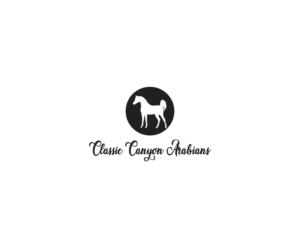 Diseño de Logo por bijuak para este proyecto | Diseño: #23431664