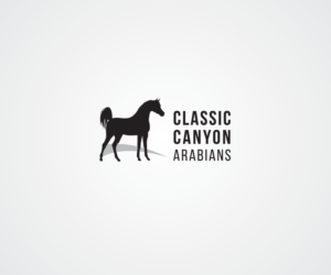 Diseño de Logo por bijuak para este proyecto | Diseño: #23431713