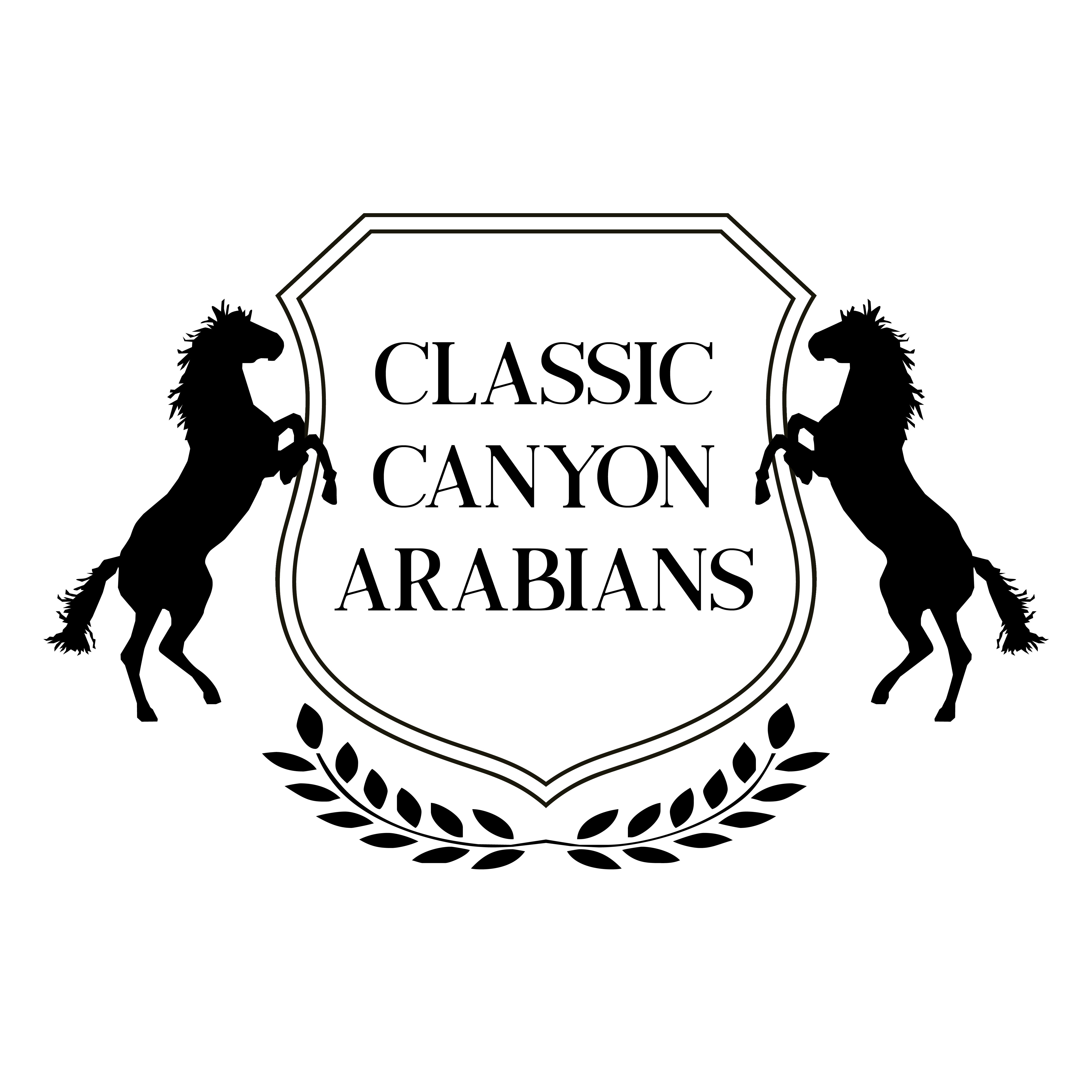 Logo Design by saraclairwolf for this project | Design #23437132
