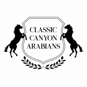 Logo Design by saraclairwolf