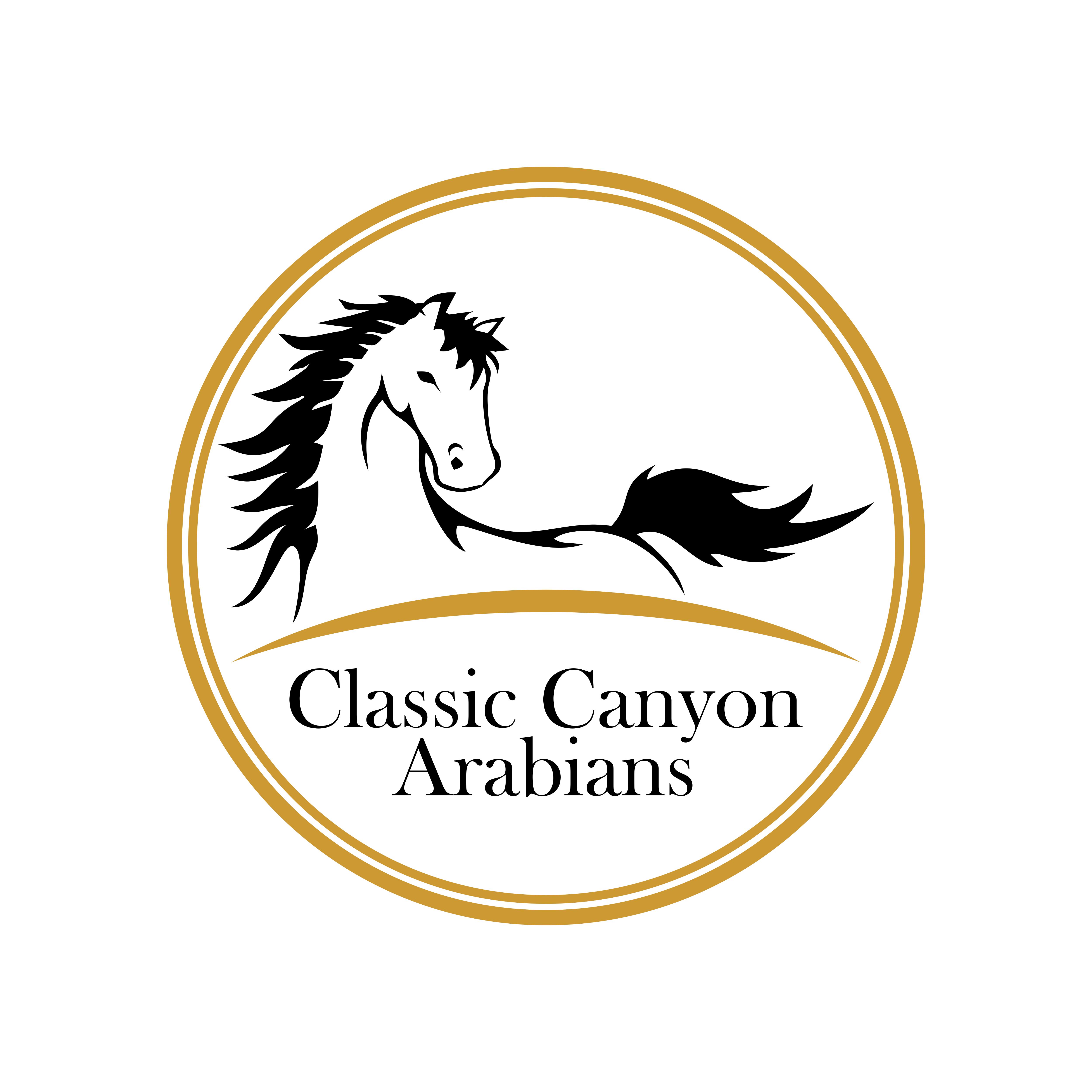 Logo Design by tunk99 for this project | Design #23459800