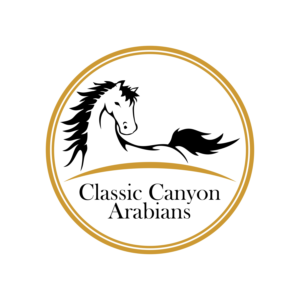 Logo Design by tunk99