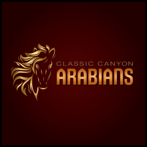 Classic Canyon Arabians | Logo-Design von Dennis Jackson Design