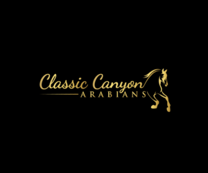 Diseño de Logo por Mr. Shakib's Design Studio para este proyecto | Diseño: #23434365
