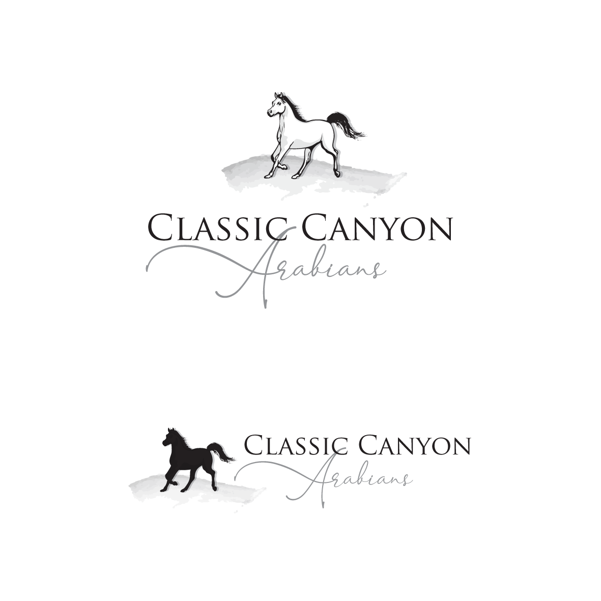 Logo Design by Samantha Ward Design for this project | Design #23446839